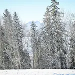 Magiczny Widok Z Widokiem Na Gory Bialy Dunajec * Poronin