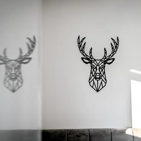 Magiczny Widok Z Widokiem Na Gory Bialy Dunajec