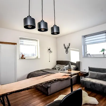 Magiczny Widok Z Widokiem Na Gory Bialy Dunajec Apartment Poronin